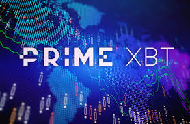 PrimeXBT Team Review - Insights into the Elite Team Behind the Trading Platform